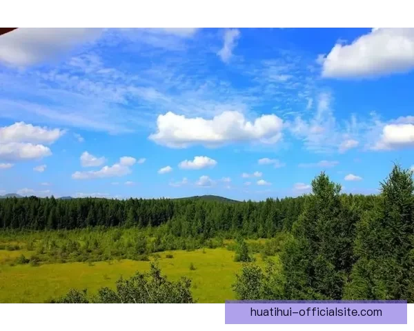 世界杯体育竞猜平台带你畅玩竞猜乐趣，预测冠军赢大奖！